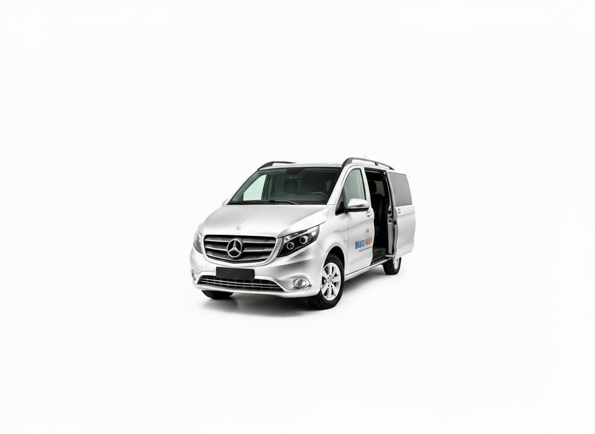 Mercedes Vito & V-Class