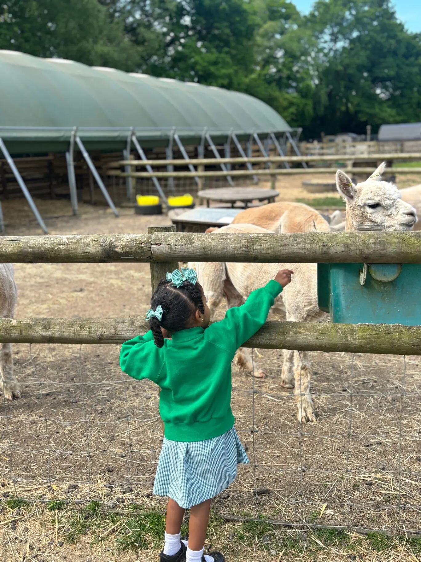School children enjoying educational farm trip with Bus4U minibus transport in Cardiff